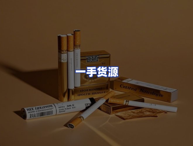专业团队